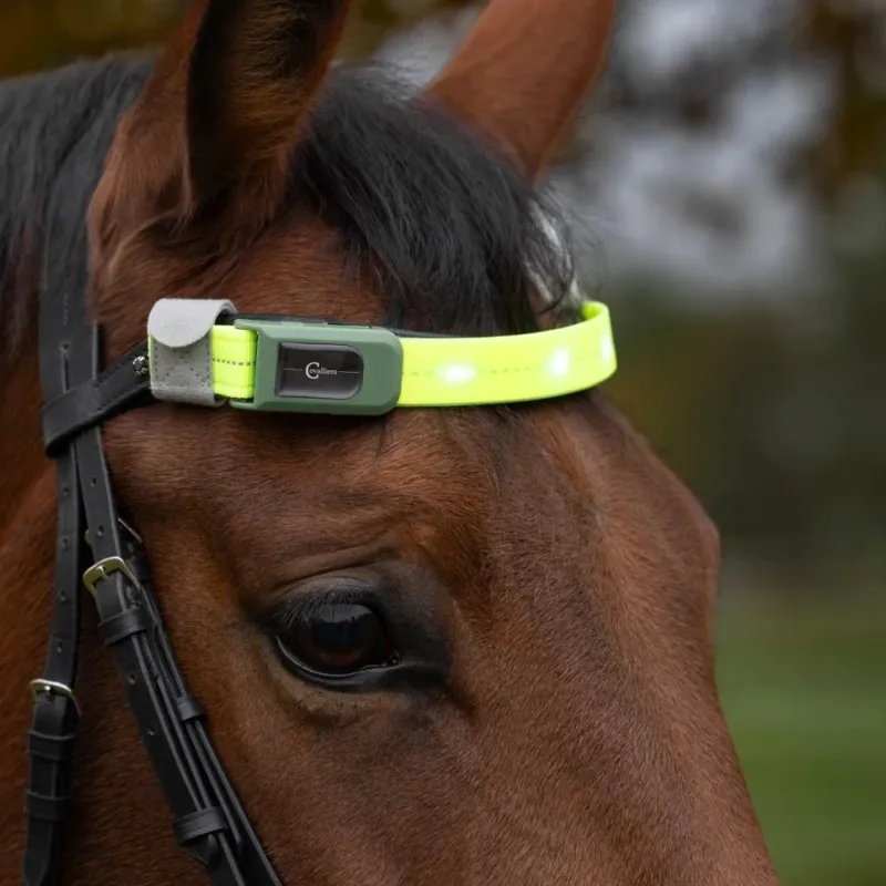 Kerbl LED Hi-Viz Browband Head Strap - Yellow-2
