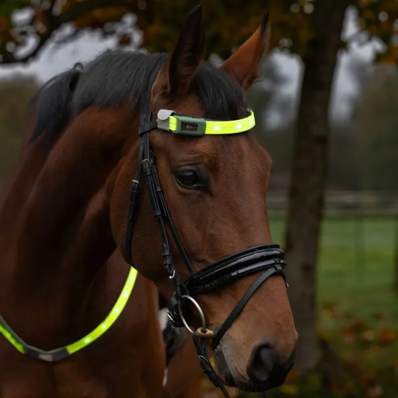 Kerbl LED Hi-Viz Browband Head Strap - Yellow-3