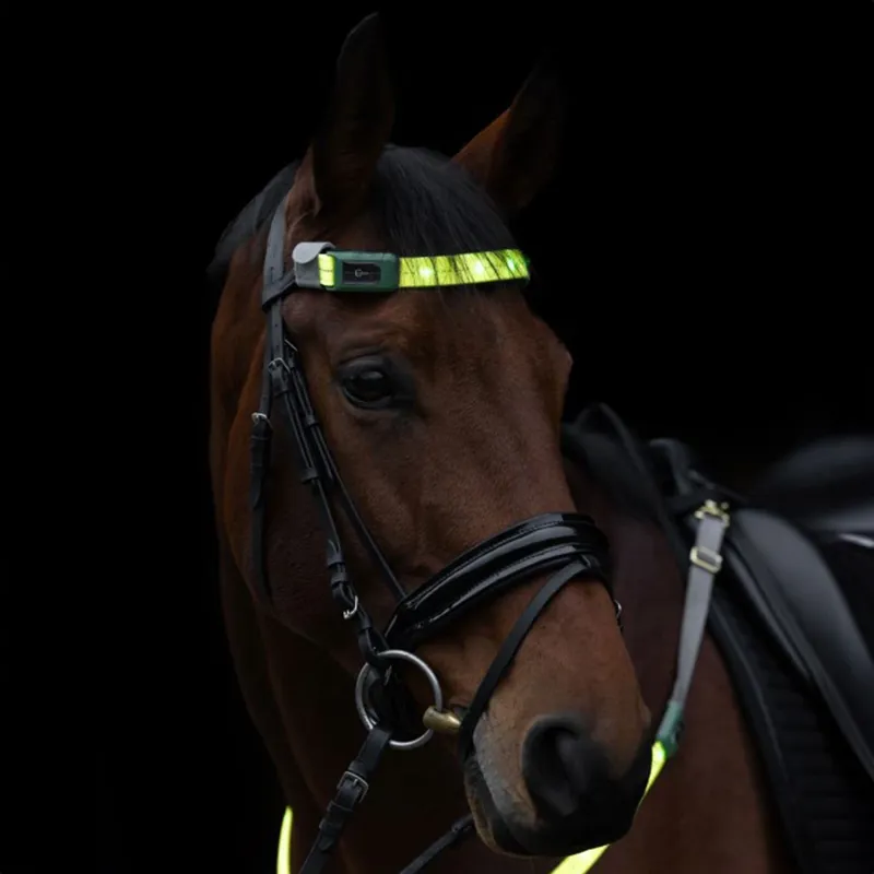 Kerbl LED Hi-Viz Browband Head Strap - Yellow-5