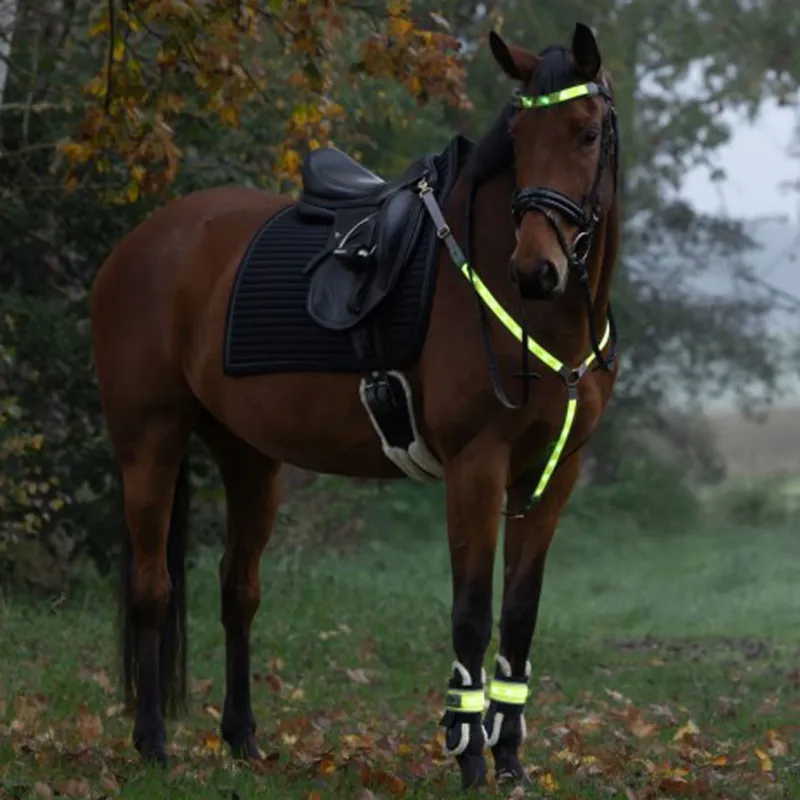 Kerbl LED Hi-Viz Browband Head Strap - Yellow-6