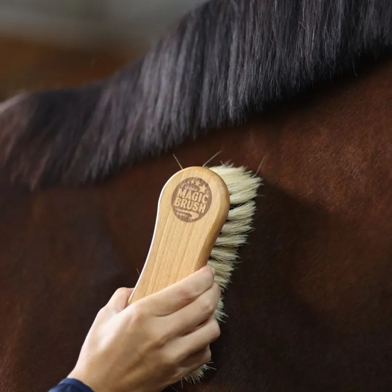 MagicBrush Combi 2in1 Wooden Body Brush-2