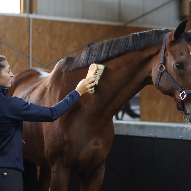 MagicBrush Combi 2in1 Wooden Body Brush-3