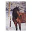Kevin Milner Christmas Card - Bay Horse