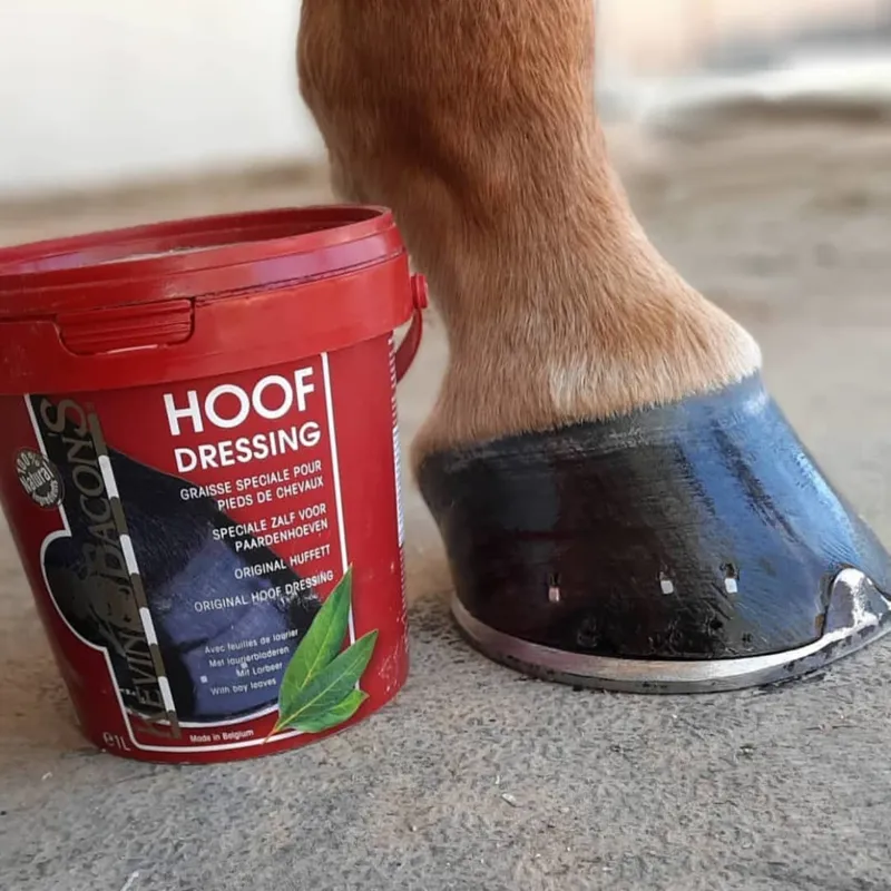 Kevin Bacons Hoof Dressing - Original/Clear-1