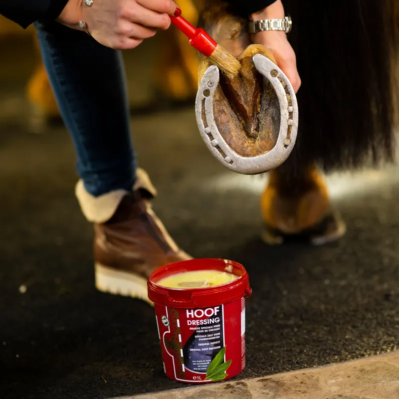 Kevin Bacons Hoof Dressing - Original/Clear-4