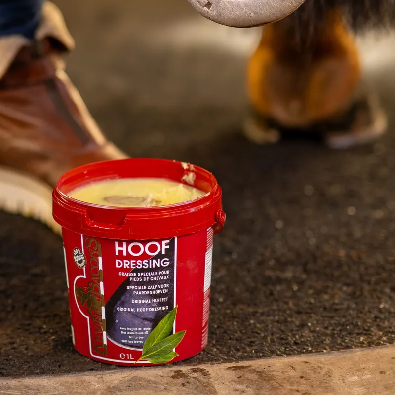 Kevin Bacons Hoof Dressing - Original/Clear-2
