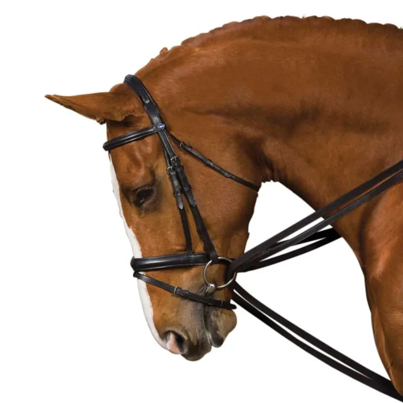 Kincade Web Draw Reins - Black