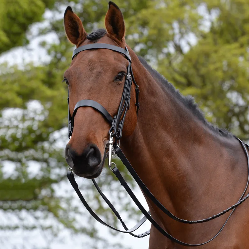 Kincade Show Weymouth Double Bridle - Black