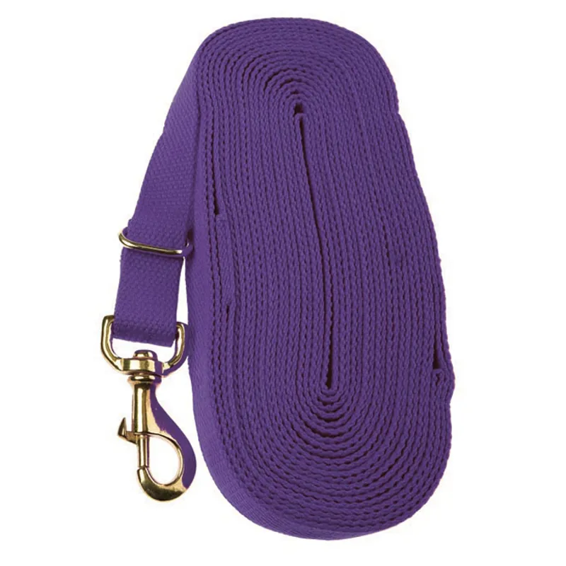 Kincade Lunge Line - Purple
