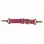 Kincade Two Tone Lunging Attachment - Pink/Purple