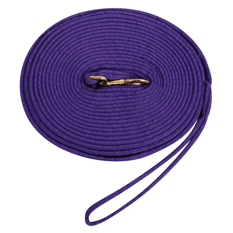 Kincade Two Tone Padded Lunge Line - Purple/Black