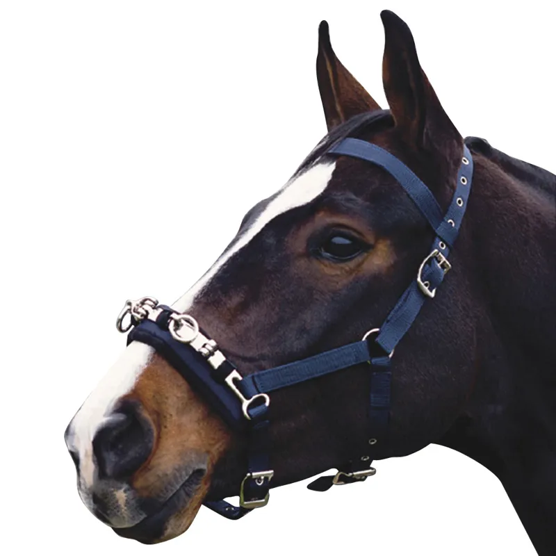 Lunging cavesson on sale