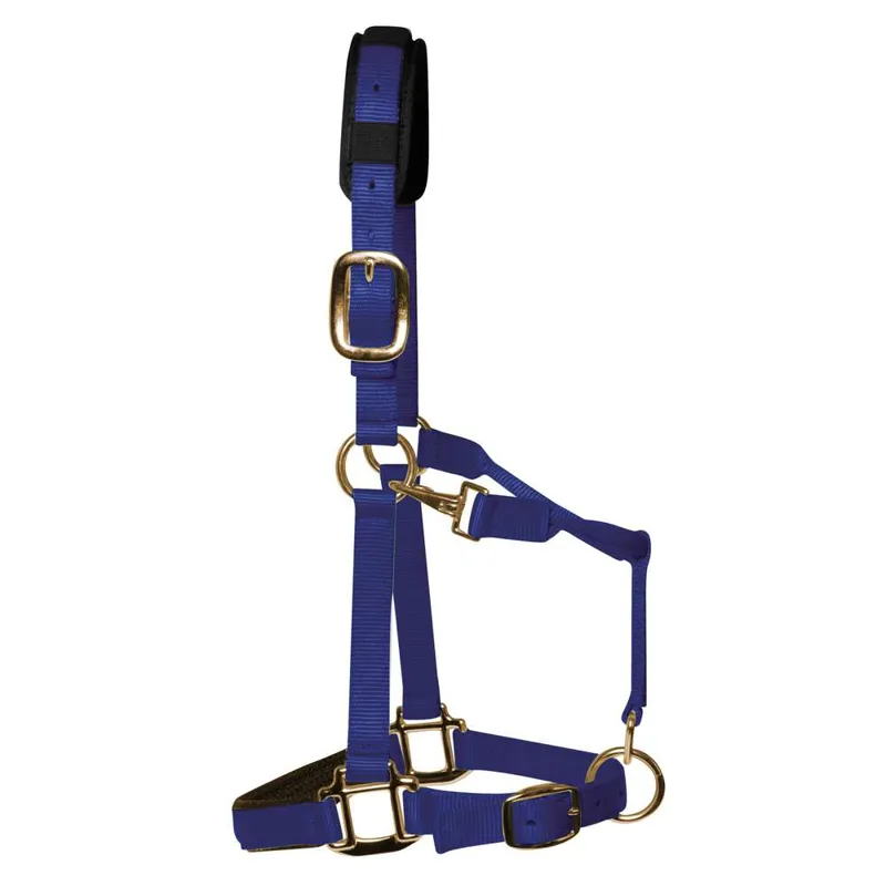 KM Elite Luxury Padded Headcollar - Royal Blue