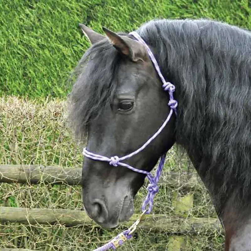 KM Elite Adjustable Rope Halter - Purple/Grey