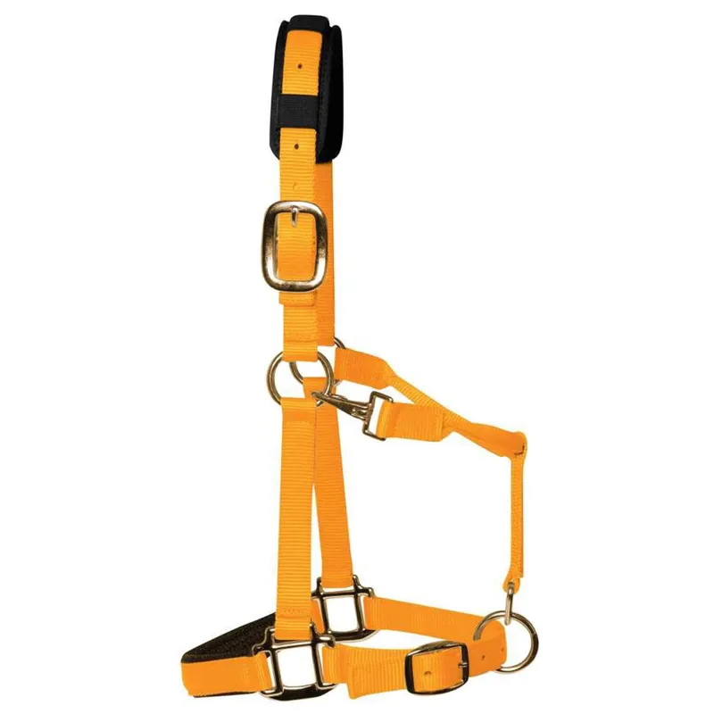 KM Elite Luxury Padded Headcollar - Orange