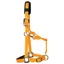 KM Elite Luxury Padded Headcollar - Orange
