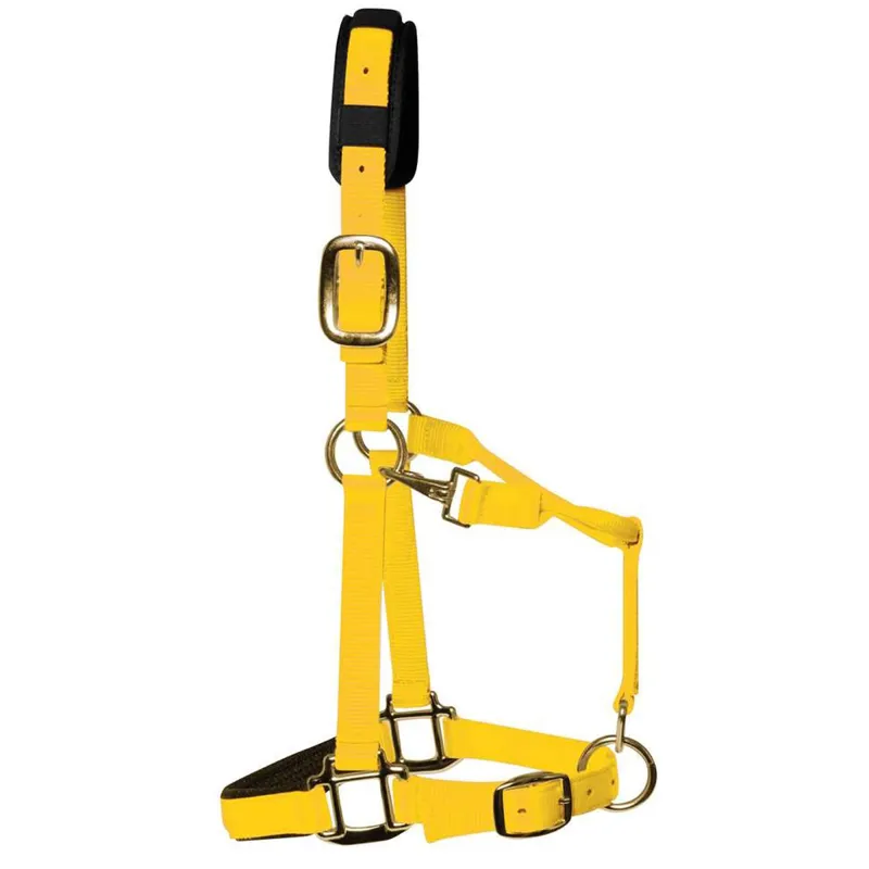 KM Elite Luxury Padded Headcollar - Yellow