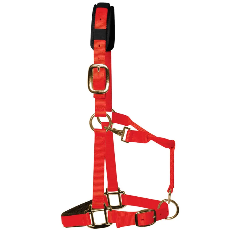 KM Elite Luxury Padded Headcollar - Red