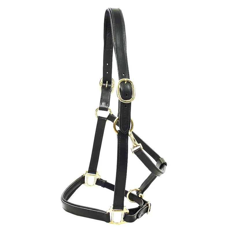 KM Elite Primera Padded Leather Headcollar - Black-1