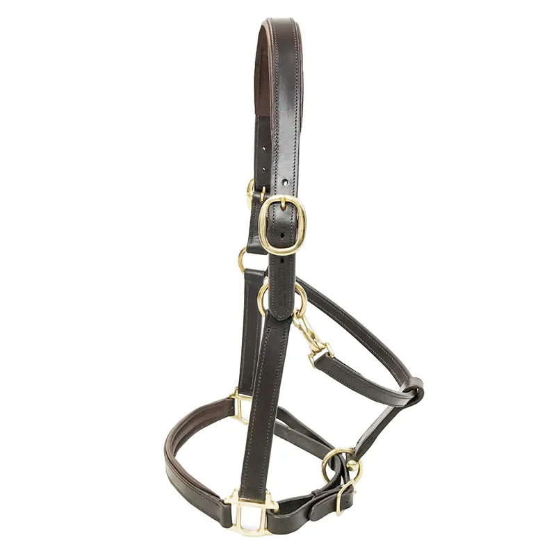 KM Elite Primera Padded Leather Headcollar - Havana-1