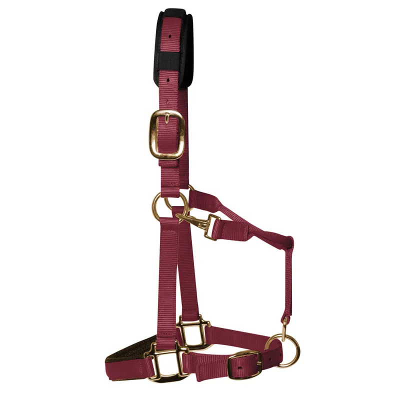 KM Elite Luxury Padded Headcollar - Burgundy