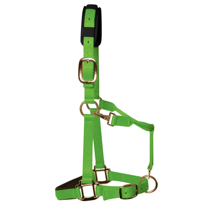 KM Elite Luxury Padded Headcollar - Hot Green