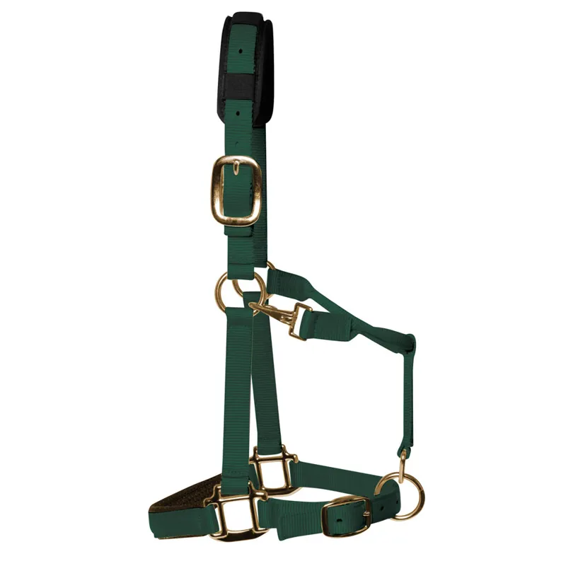 KM Elite Luxury Padded Headcollar - Hunter Green