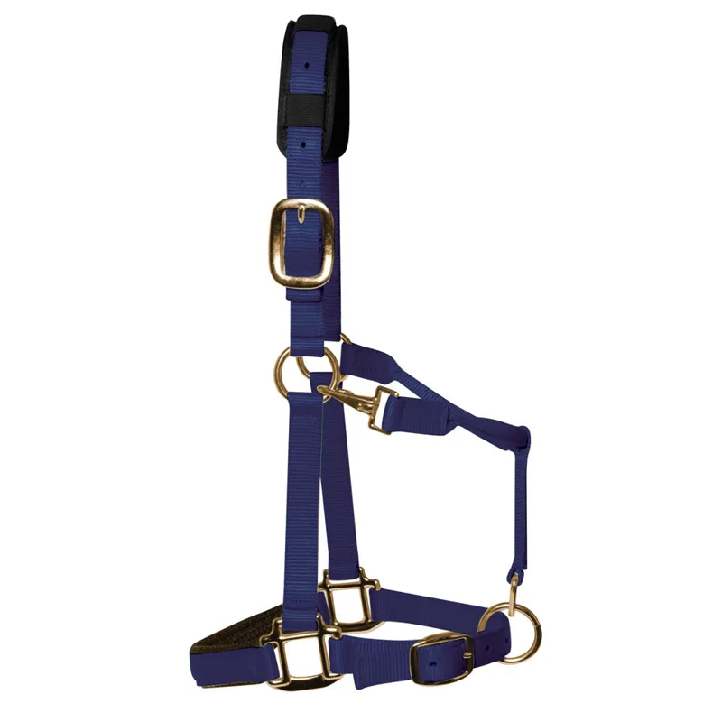 KM Elite Luxury Padded Headcollar - Navy Blue