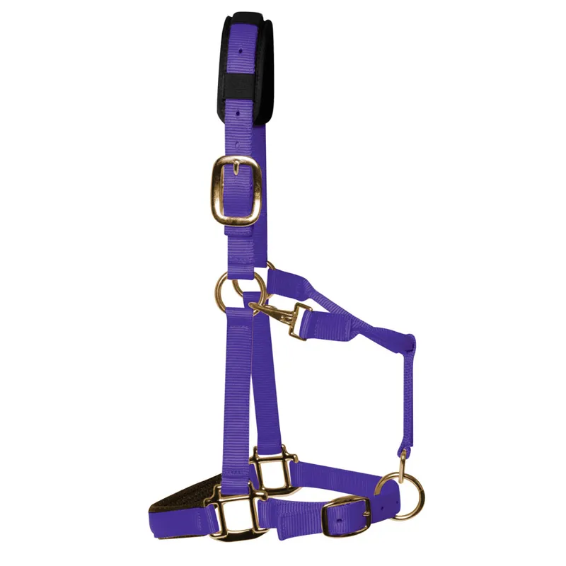 KM Elite Luxury Padded Headcollar - Purple
