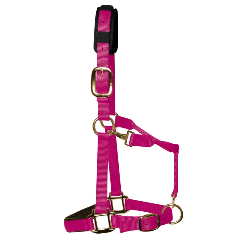 KM Elite Luxury Padded Headcollar - Raspberry