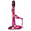 KM Elite Luxury Padded Headcollar - Raspberry