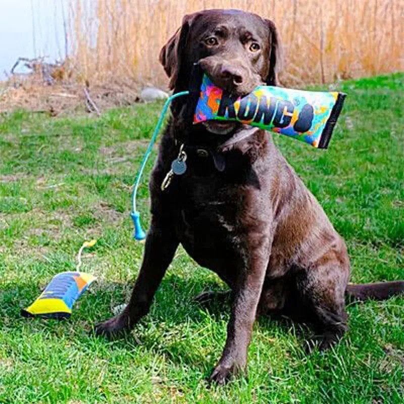 KONG Bunji High-Viz Bumper-2