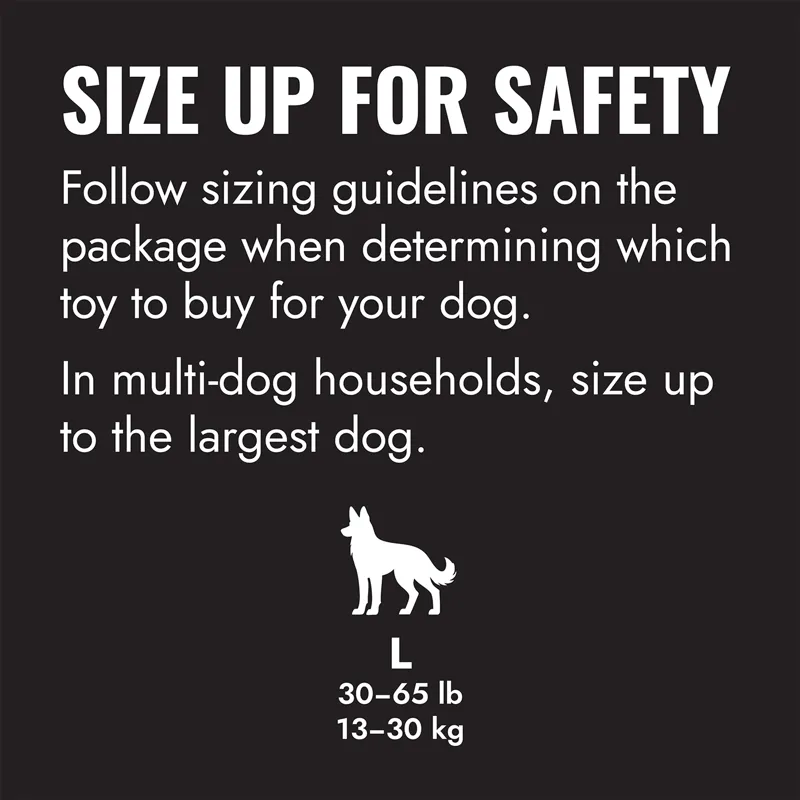 KONG Extreme Flyer-1