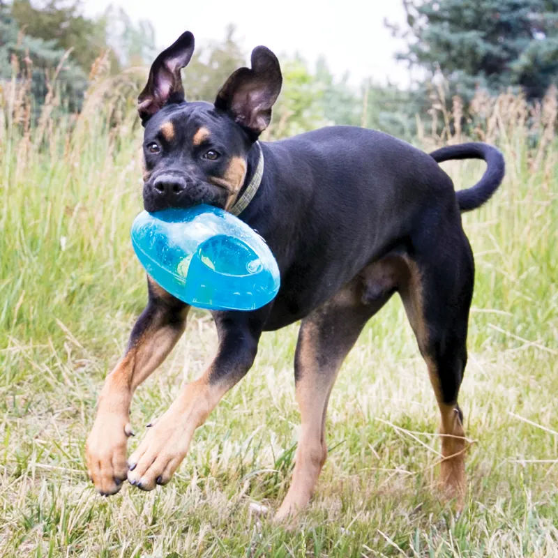 KONG Jumbler Football - Assorted-1