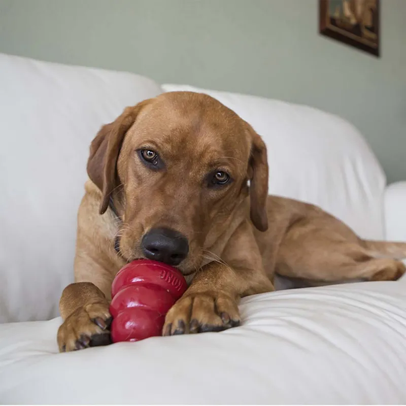 KONG Snacks - Bacon and Cheese-1