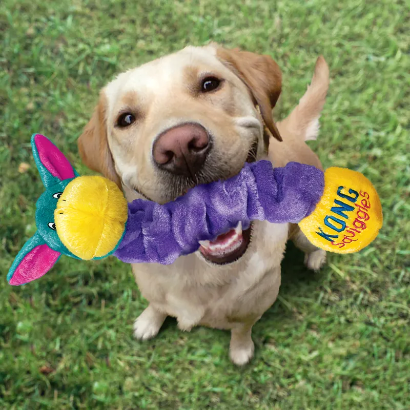 KONG Squiggles - Assorted-1