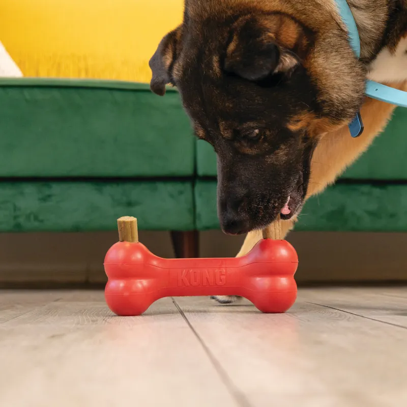 KONG Ziggies Enhanced Dog Chews-4