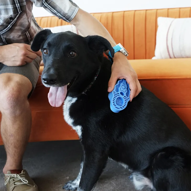 KONG ZoomGroom - Boysenberry-1