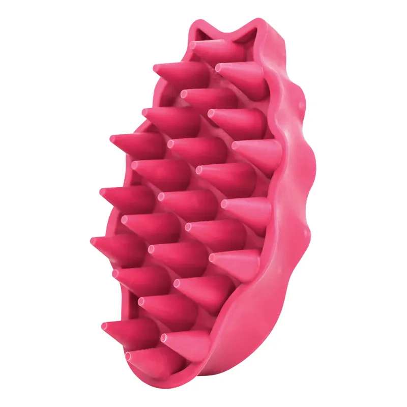 KONG ZoomGroom - Raspberry-3