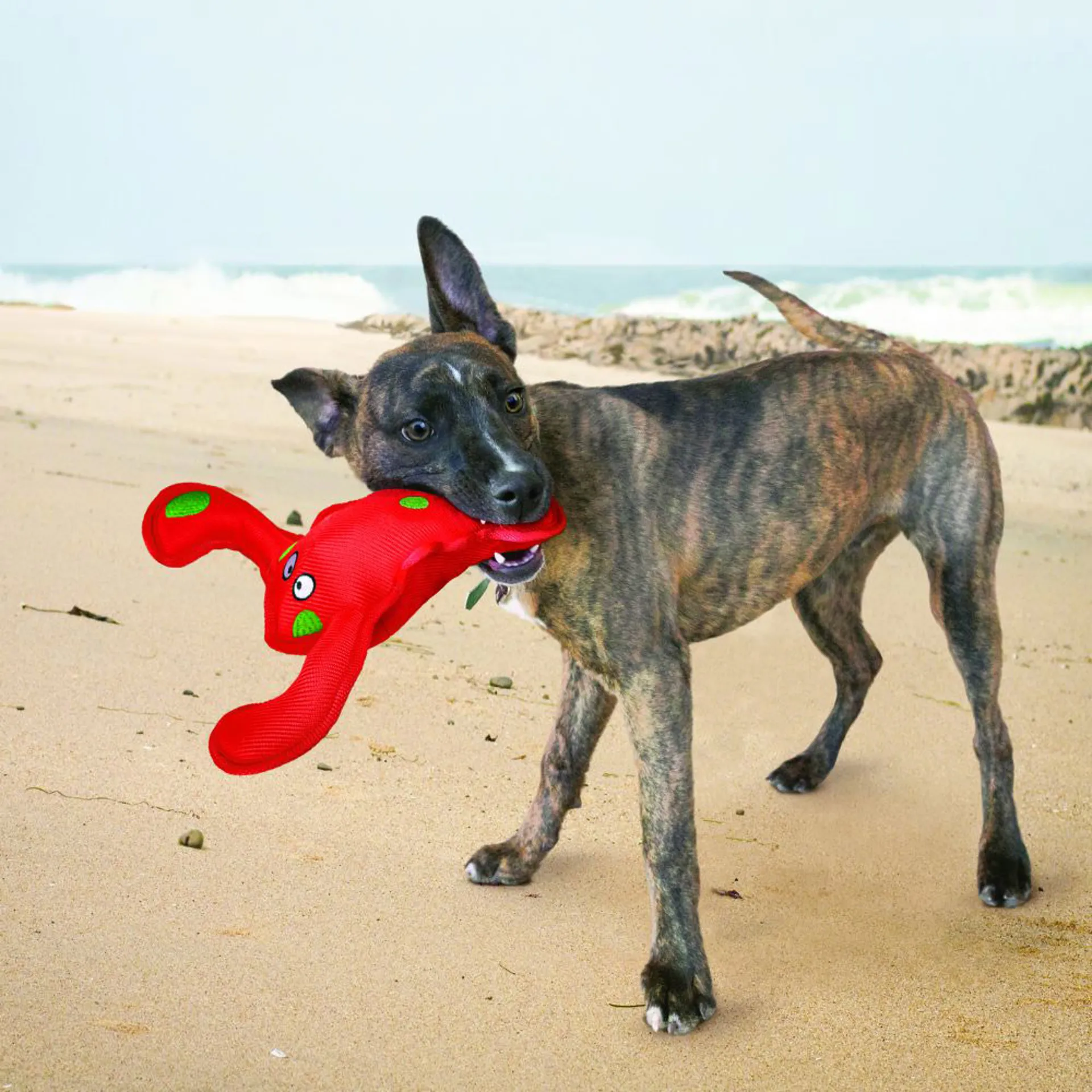 KONG Belly Flops Dog Toy Lobster