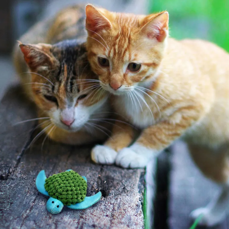 KONG Refillable Catnip Cat Toy - Turtle-1