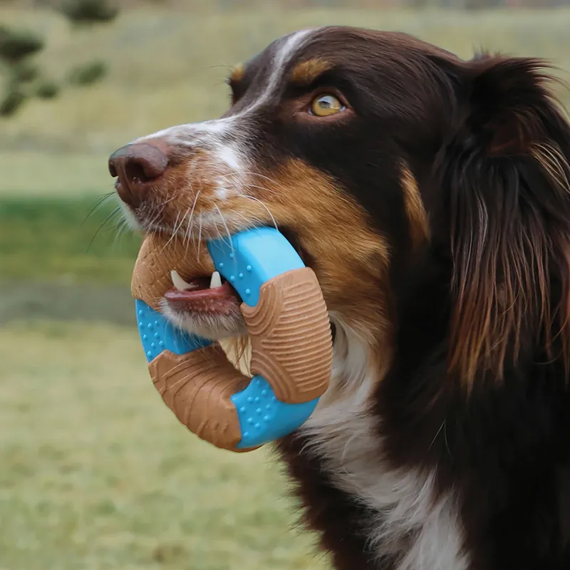 KONG CoreStrength Bamboo Ring-1