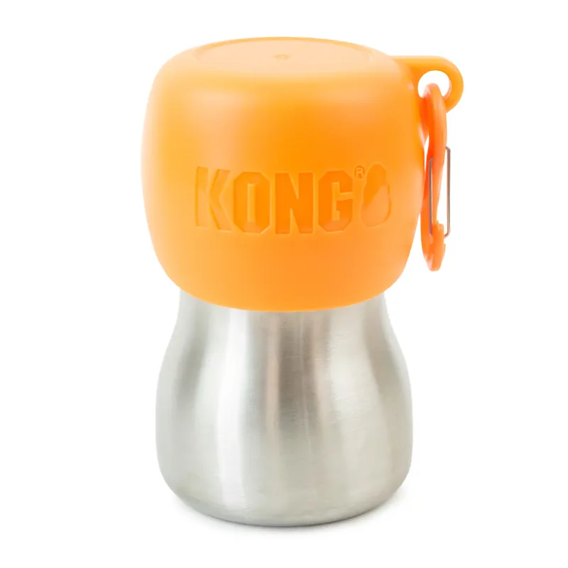 Kong outlet water bottle
