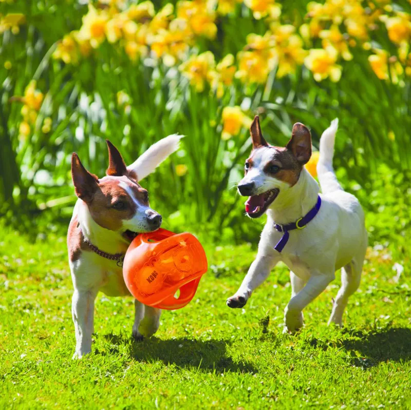 KONG Jumbler Ball Dog Toy - Assorted-1