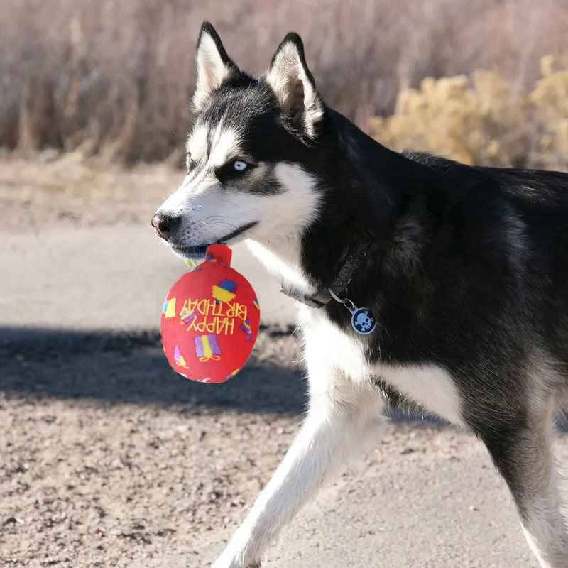KONG Occasions Birthday Balloon Dog Toy with Rope - Red-2