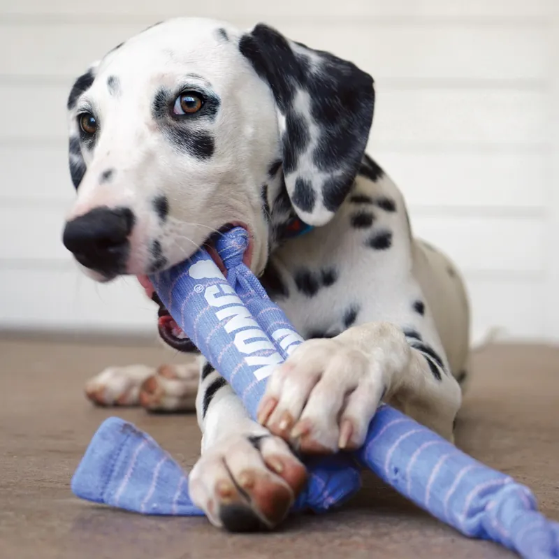 KONG Puppy Signature Crunch Rope -3