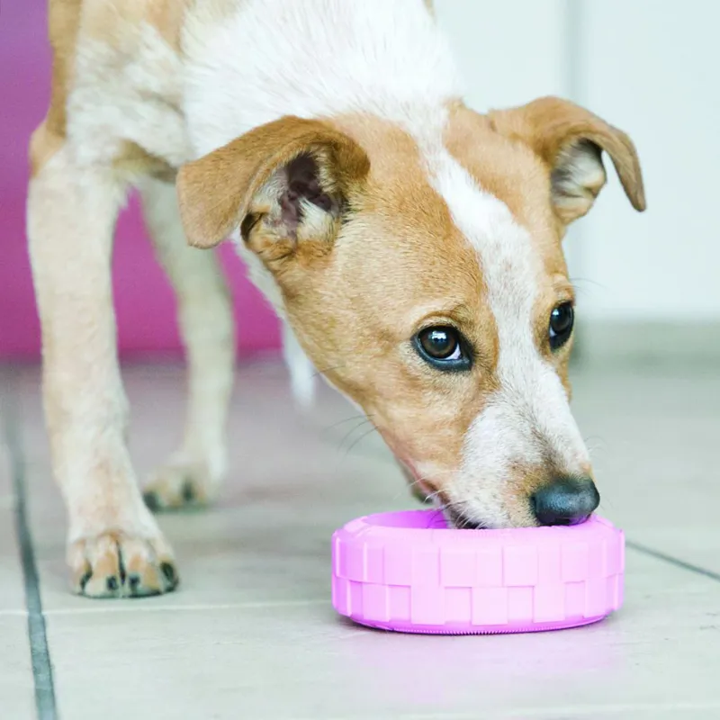 Kong traxx dog toy sale
