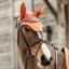 Kentucky Wellington Velvet Fly Veil - Orange