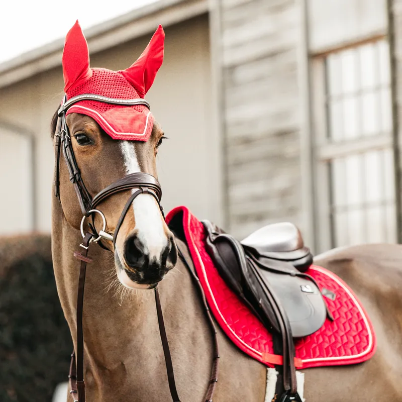 Kentucky Wellington Velvet Fly Veil - Red-3