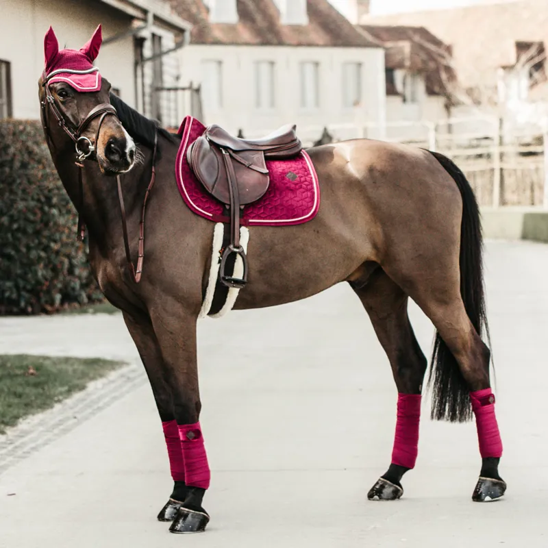 Kentucky Velvet Jumping Saddlecloth - Fuchsia-2